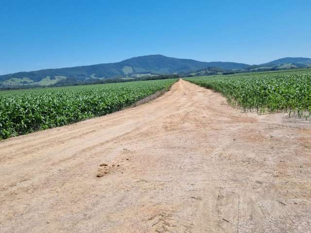 201P044 Fazenda em pouso alegre MG.  Sul de Minas 220 km de São Paulo