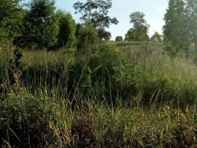 Grande oportunidade fazenda em Curvelo dupla opdão