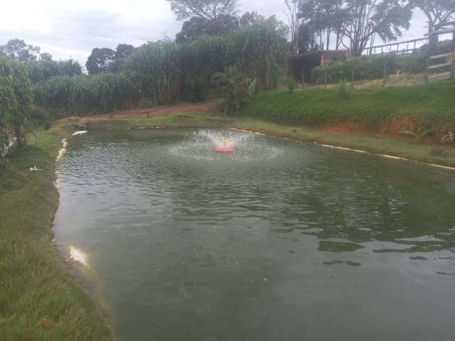 Excelente fazenda em passatempo Minas gerais lazer completo rica em água e produção de leite