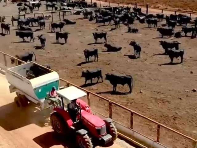 Excelente fazenda produtiva em corinto mg.