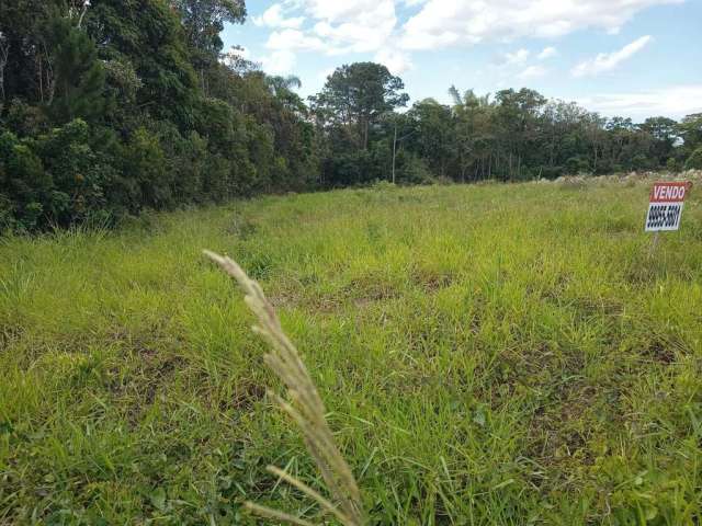 Terreno - Loteamento Portal da Colina - Forquilhas