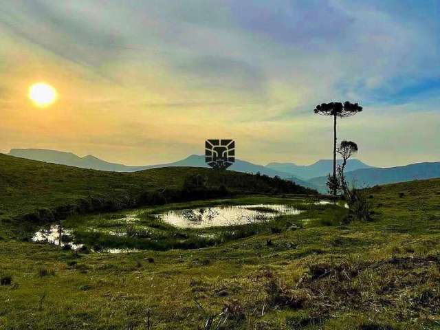 Terreno Rural de 2 Hectares Próx Vinícola Thera , Bom Retiro-SC