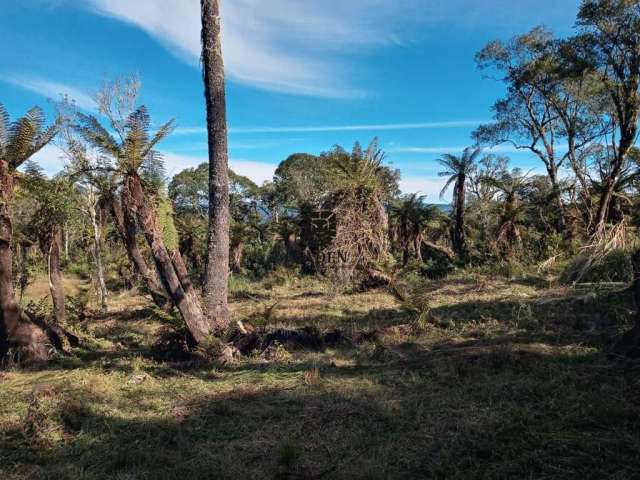 Terreno Rural de 2 Hectares em São José, Urubici-SC