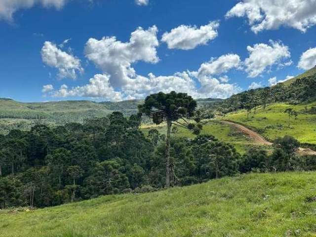 Vendo Terreno de 2Ha Em Urubici, Aceito parcelamento.