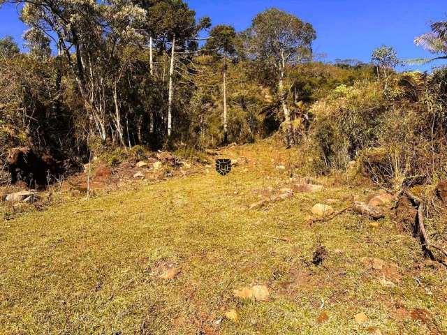 Propriedade Natural de 20 Hectares em Urubici