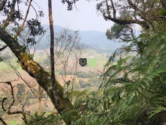 Terreno Encantador em Santa Tereza: Acesso Facilitado, Rica Vegetação com uma Vi