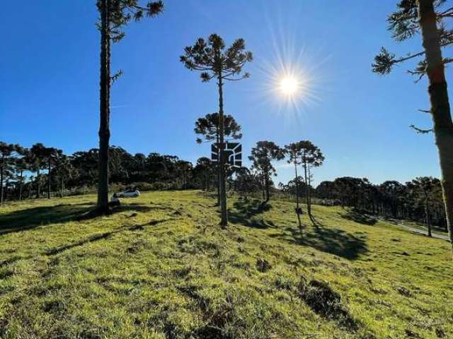 Terreno Rural de 2Hectares no Morro da Igreja