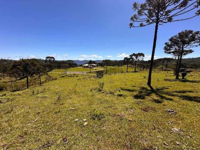 Terreno em Local Privilegiado com Vista Panorâmica – Ideal para Construção de Ca