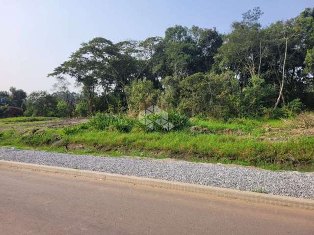 Terreno de 360m² em São Francisco do Sul-Bairro Reta, Rua Asfaltada.