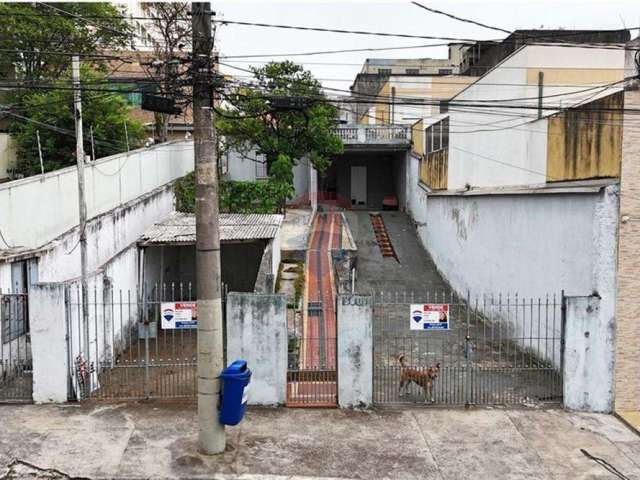 Terreno de 500m² em Santa Maria, São Caetano