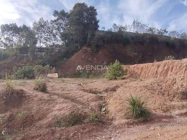 Terreno à venda na Rua Janaina Virginia Saldanha Machado, 148, Jardim Novos Horizontes, Almirante Tamandaré, 142 m2 por R$ 49.999