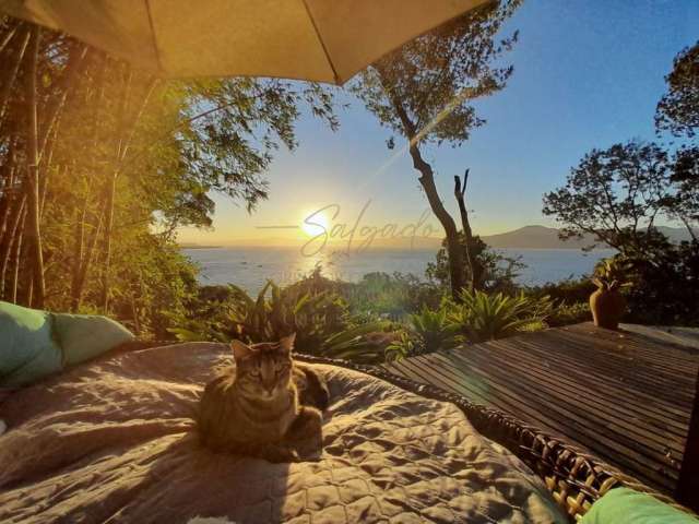 Terreno em Praia para Venda em Florianópolis, Jurerê Internacional