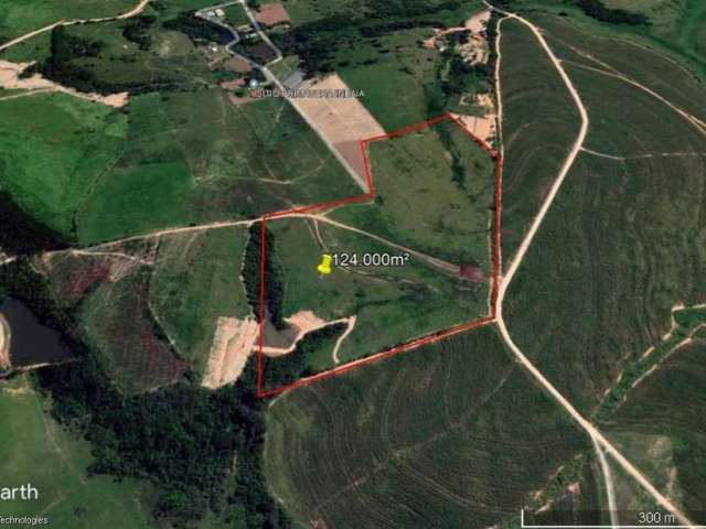 Área à venda, 124000 m² por R$ 7.440.000,00 - Buru - Elias Fausto/SP