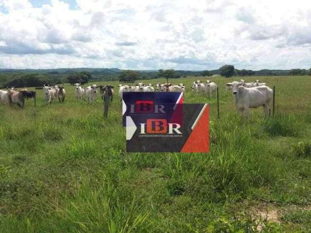 Fazenda à venda na Zona Rural, Nova Brasilândia , 12340000 m2 por R$ 16.000.000