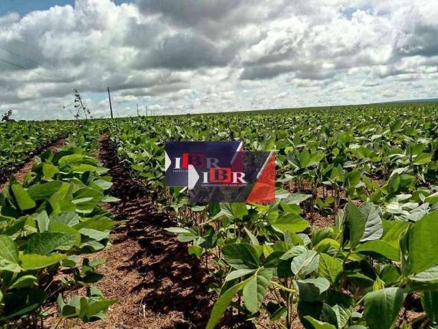 Fazenda em Poxoréo - MT