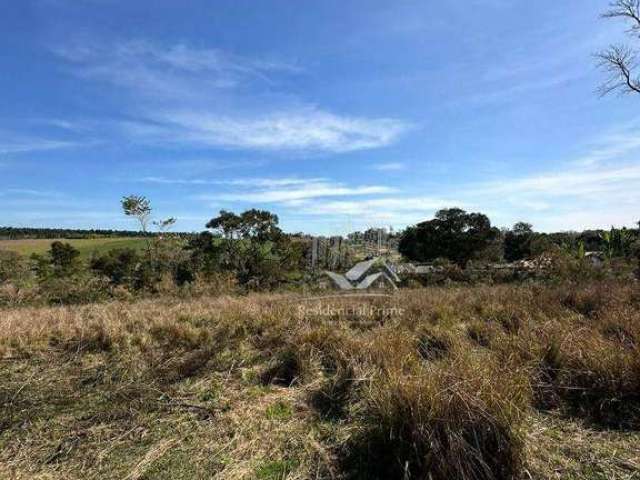 Terreno à venda, 26000 m² por R$ 490.000,00 - Borda da Mata - Caçapava/SP