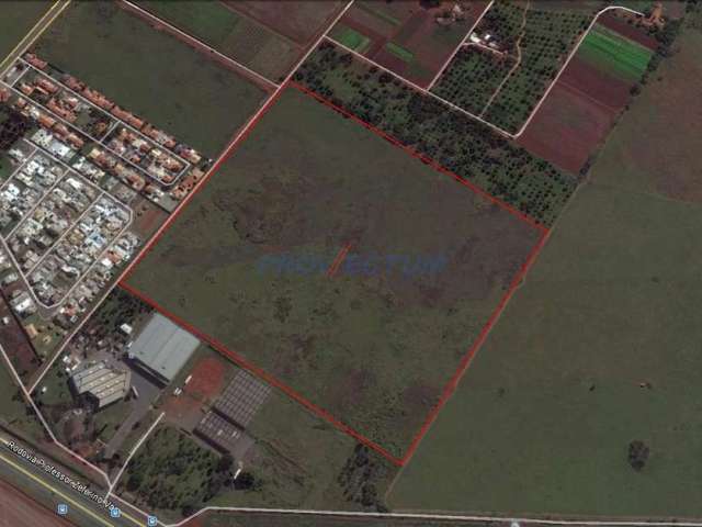 Terreno à venda na Avenida Alexandre Cazelatto, SP 332, Betel, Paulínia por R$ 86.800.000