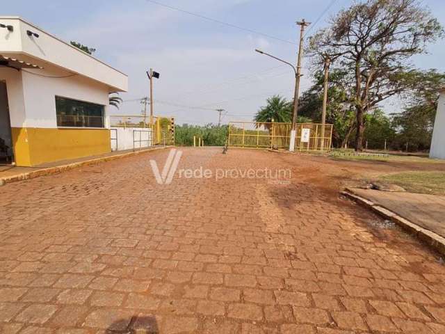 Barracão / Galpão / Depósito para alugar na Rua Maria Estefno Maluf, 409, Betel, Paulínia, 900 m2 por R$ 18.000