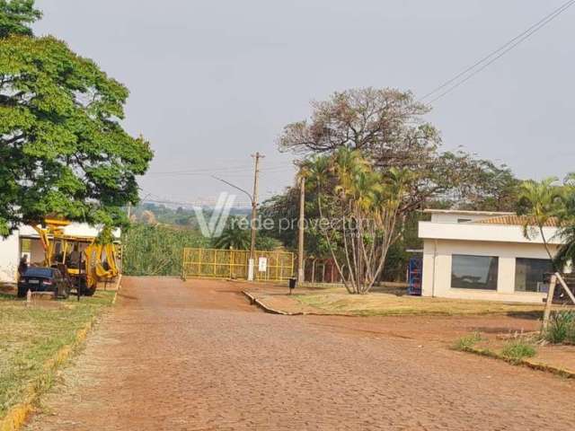 Barracão / Galpão / Depósito para alugar na Rua Maria Estefno Maluf, 409, Betel, Paulínia, 1000 m2 por R$ 20.000