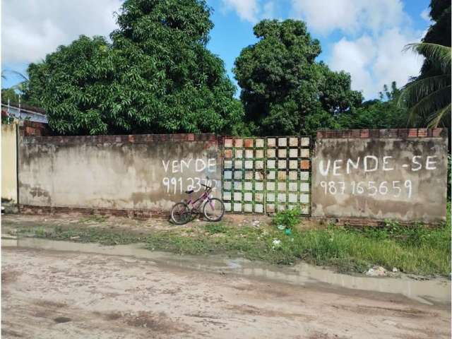 terreno localizado em nova esperança