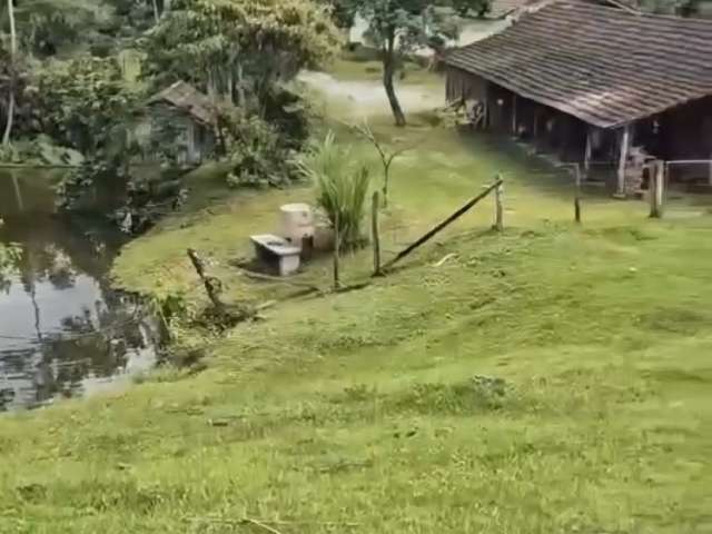 Sítio a venda Testo Salto - Blumenau