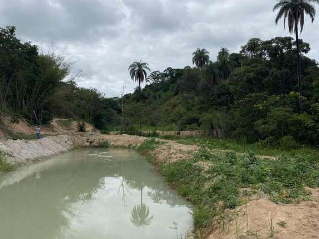 Terreno Rural de 2 Hectares com Lagoa e Árvores Frutíferas em Florestal