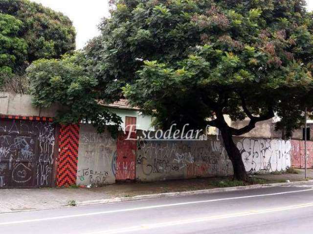 Terreno residencial à venda, Jardim Elisa Maria, São Paulo.