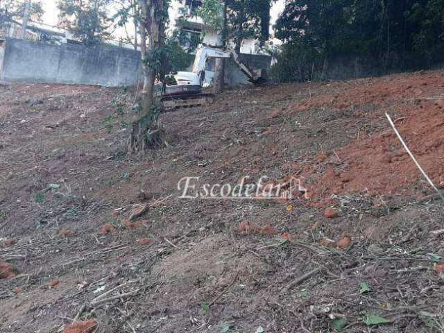 Terreno à venda, 720 m² por R$ 1.534.000,11 - Tucuruvi - São Paulo/SP