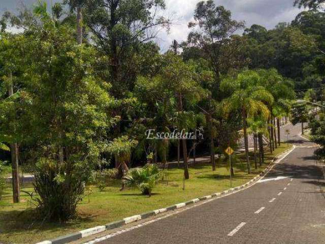 Terreno à venda, 340 m² por R$ 1.060.000,00 - Tucuruvi - São Paulo/SP