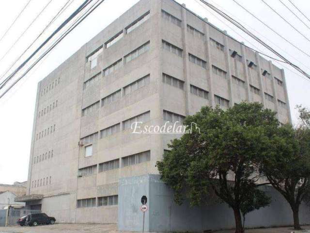 Prédio à venda, 8730 m² por R$ 27.000.000,01 - Brás - São Paulo/SP