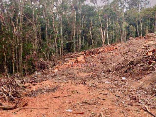 Terreno à venda, 2237 m² por R$ 250.000,00 - Mantiqueira - Mairiporã/SP