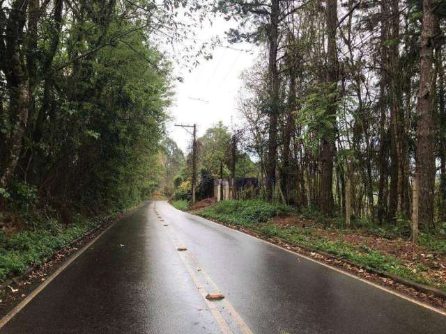 Terreno à venda, 23241 m² por R$ 930.000,00 - Palmeiras - Mairiporã/SP