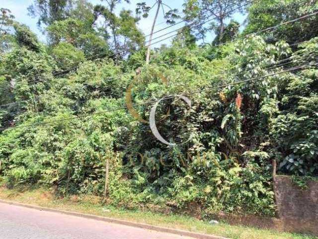 Terreno à venda no bairro Cocaia - Ilhabela/SP, Região Central