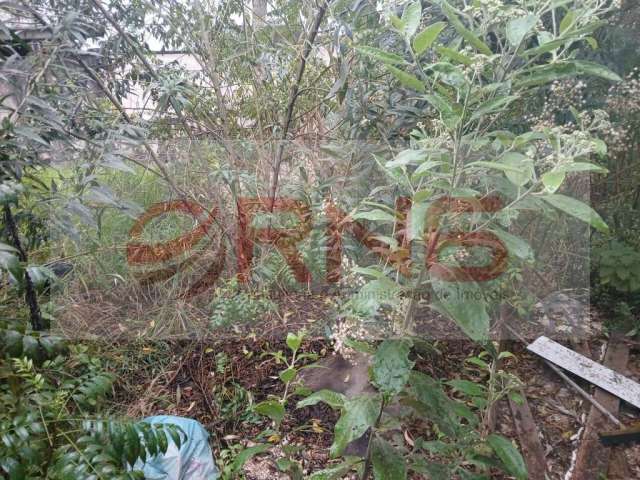 Terreno a venda na Avenida Santa Inês-Zona Norte-SP