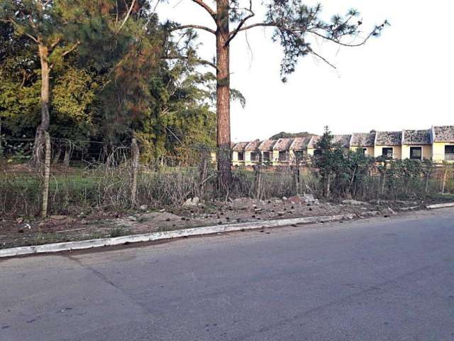 Terreno de 300 m² para Locação no Bairro São Luiz - Versatilidade e Excelente Localização