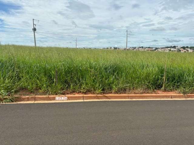 Terreno para Venda em Presidente Prudente, Residencial Annita Bongiovani