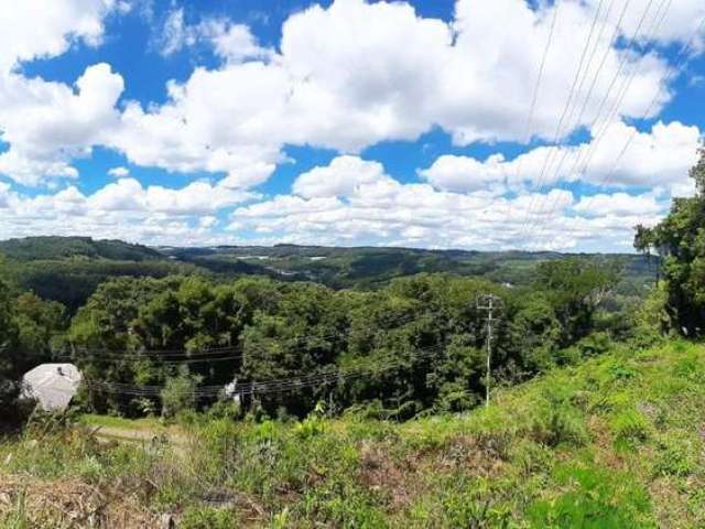 Terreno à venda no Linha 40, Caxias do Sul  por R$ 550.000