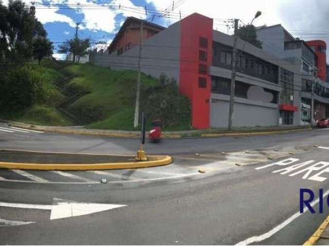 Casa comercial à venda na Nossa Senhora de Lourdes, Caxias do Sul  por R$ 3.000.000