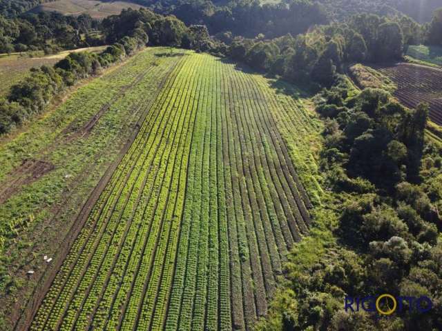 Terreno à venda no São Cristóvão (Distrito), Flores da Cunha  por R$ 450.000