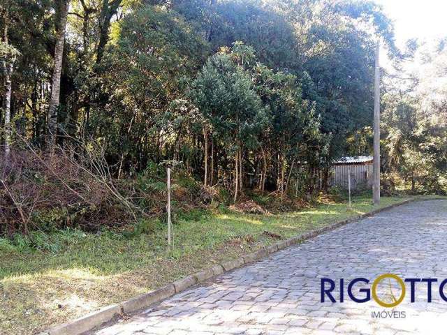 Terreno à venda na Bela Vista, Caxias do Sul  por R$ 2.800.000