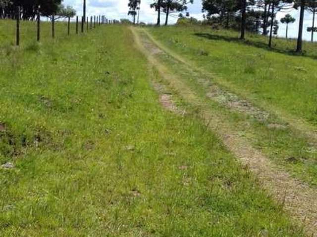 Terreno à venda em Criúva, Caxias do Sul  por R$ 565.616