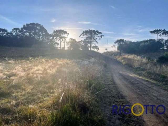 Chácara / sítio à venda na Zona Rural, São Francisco de Paula  por R$ 170.000