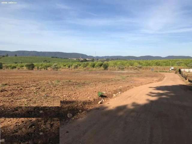 ÁREA COM 230 MIL m² PARA VENDA - PINHAL - CABREÚVA - SP