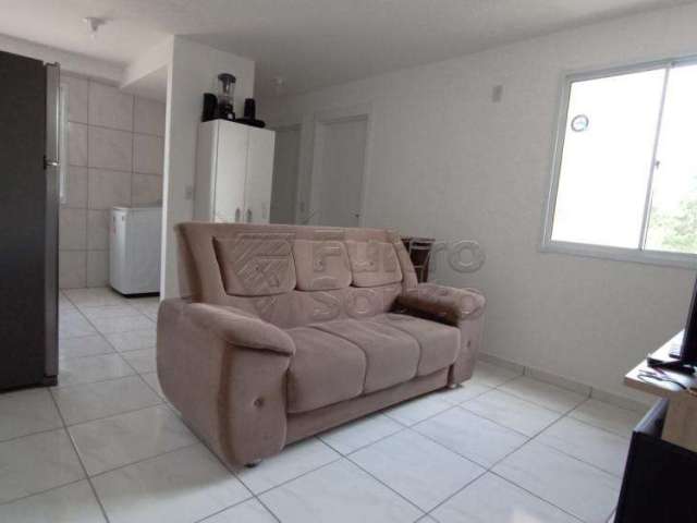 Apartamento de 2 Dormitórios no Life Park Fragata (Sem Mobília)