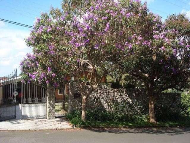 Casa Residencial à venda, Jardim Siriema, Atibaia - CA0308.