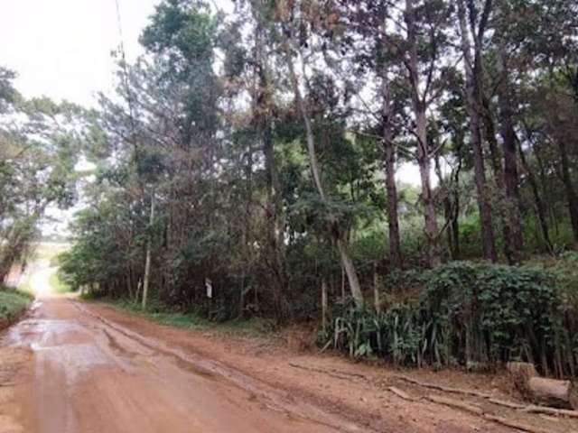 Terreno Residencial à venda, Nova Gardênia, Atibaia - TE1526.