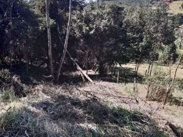 Terreno Residencial à venda, Canedos, Piracaia - TE1776.