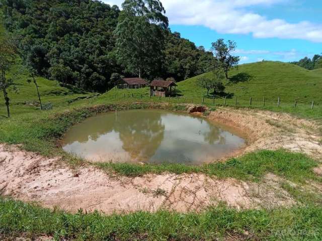 Sítio à venda no bairro Centro - Anitápolis/SC