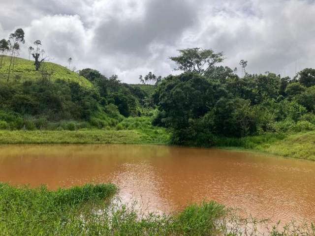 Fazenda Execelente na Região Itapira–São Paulo area de  106 Alqueires(paulista)