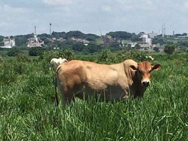 Fazenda à venda em São José dos Campos/SP